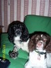 Millie and Myles