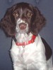 Molly
