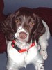 Molly