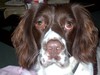 Chester and Sophie